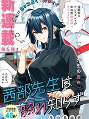 玻璃海岸线 海外票房海报